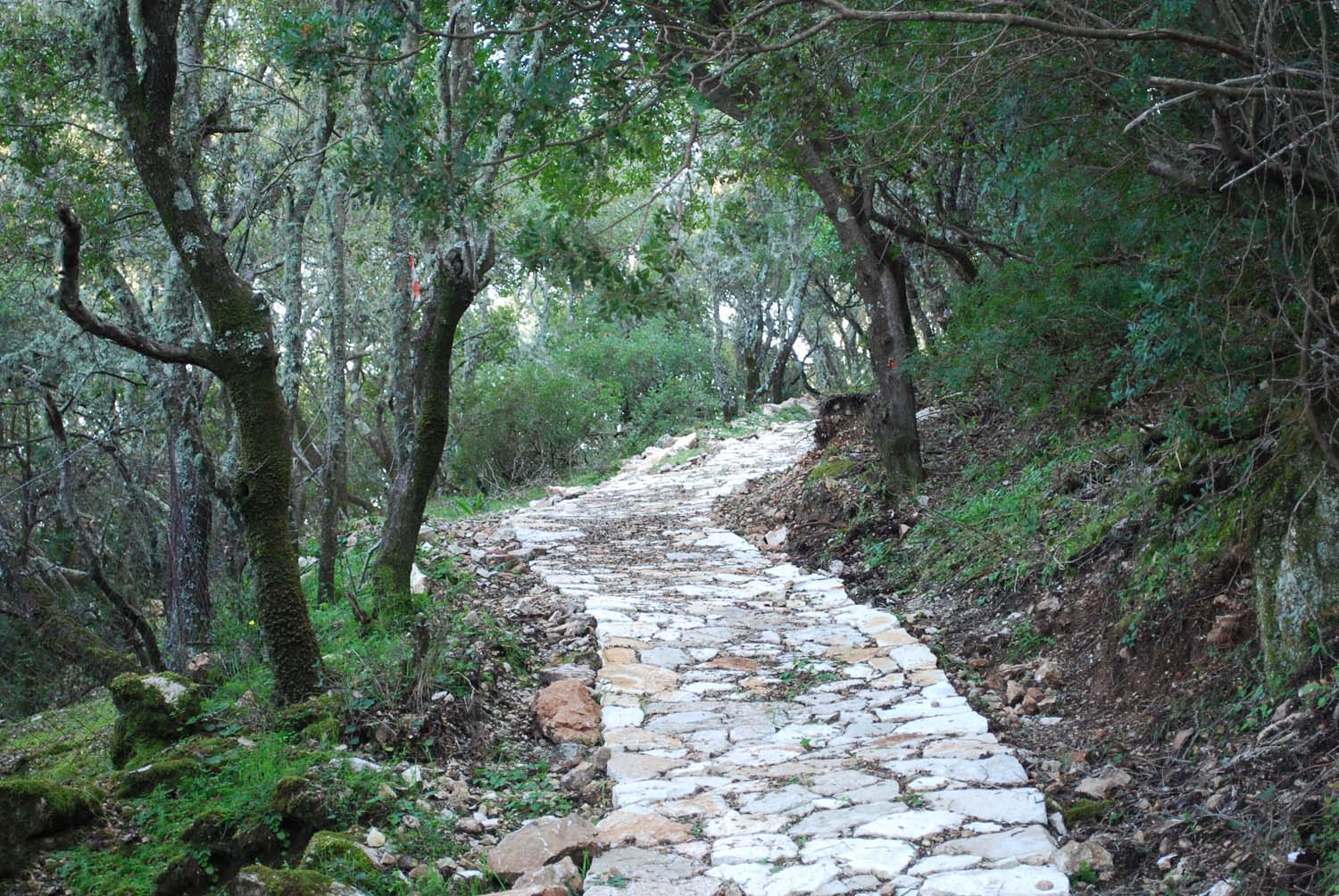 Πεζοπορία Ιθάκη